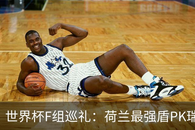 世界杯F组巡礼：荷兰最强盾PK瑞典犀利刀 日本短板明显