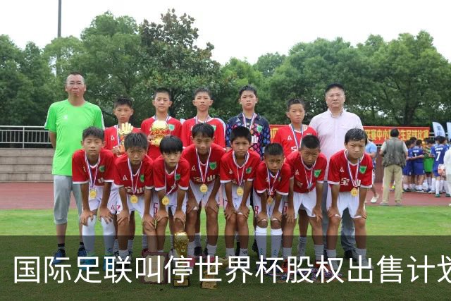 国际足联叫停世界杯股权出售计划