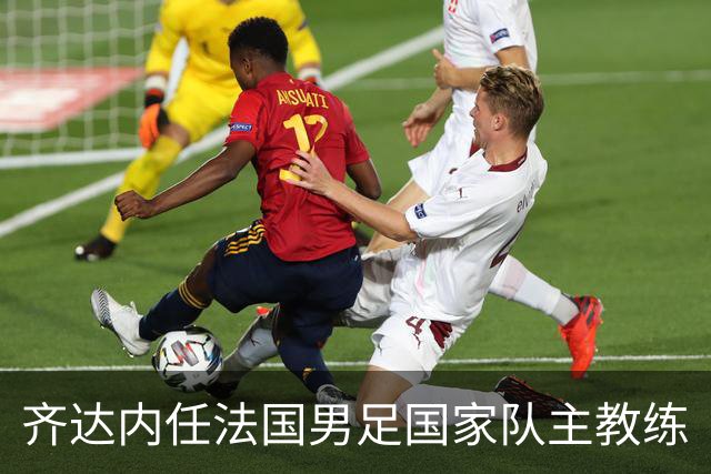 齐达内任法国男足国家队主教练