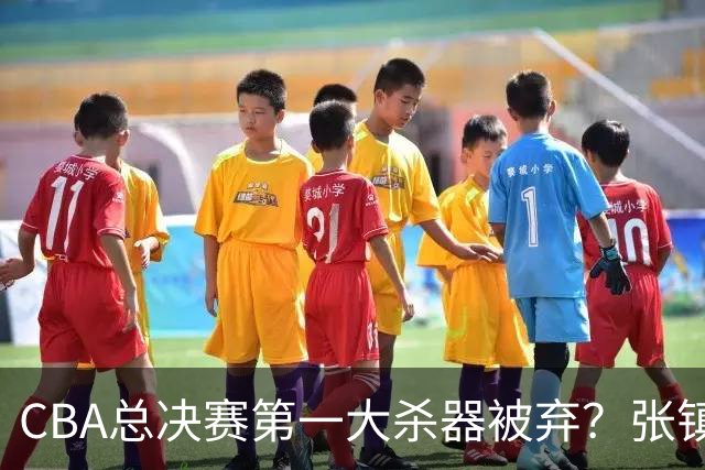 CBA总决赛第一大杀器被弃？张镇麟落选国家队：他竟输给了崔永熙